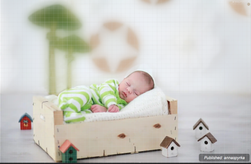 A baby sleeping and surrounded by natural elements
